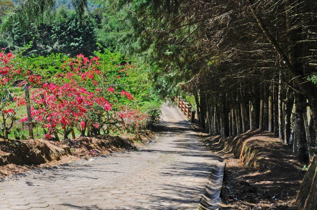 Pousada Sol Da Montanha Jardim Sun Valley 外观 照片